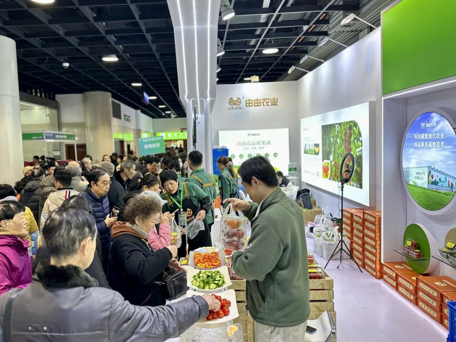 由由农业亮相全国优质农产品采购交流会 生菜墙引市民围观(图2) 由由农业亮相全国优质农产品采购交流会 生菜墙引市民围观(图2)